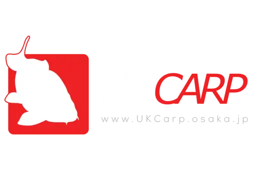 Abstract Fluid Shape